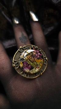 Image 5 of Ladybird and flora big brass ring 
