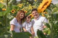 Image 2 of SUN 16th AUGUST -Sunflower mini session