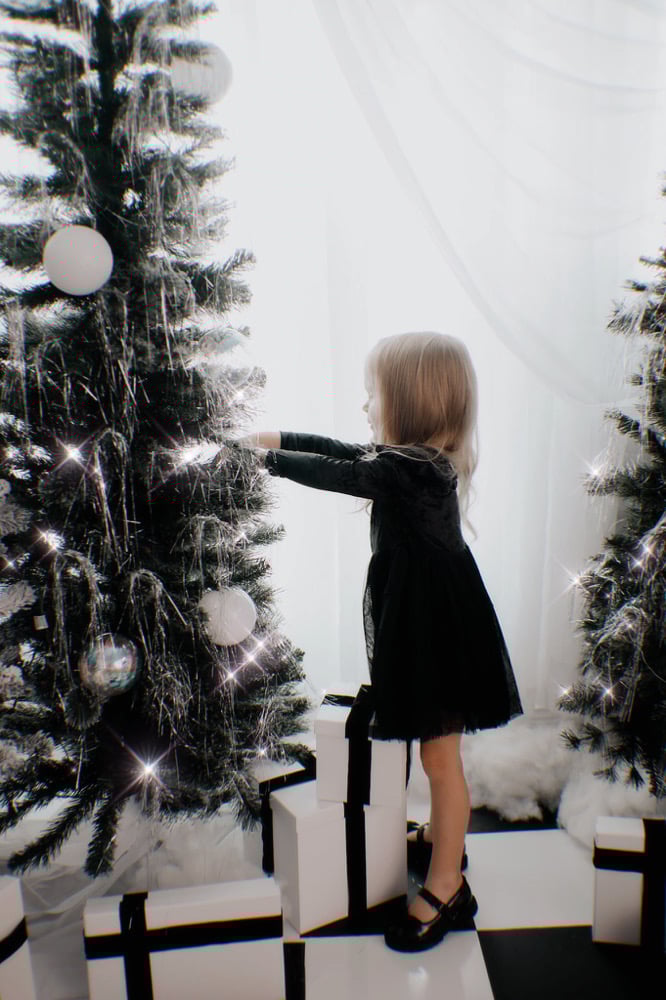 Image of Drop In Christmas Minis @ The Studio<3