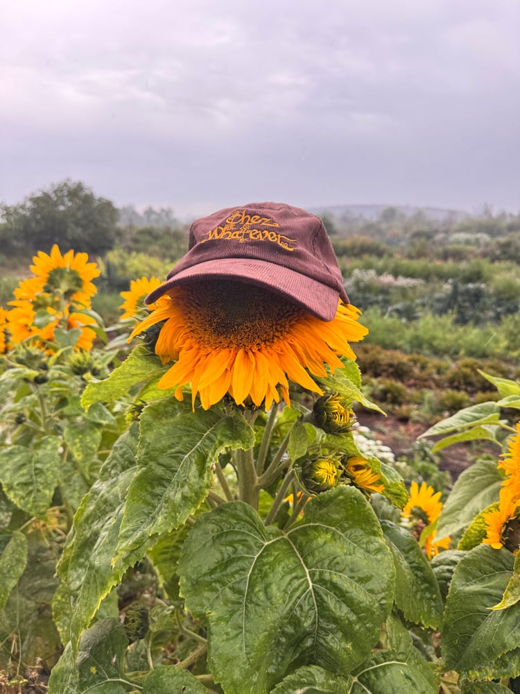 Image of chez whatever sd hat
