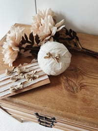 Image 2 of Simple sandy bow