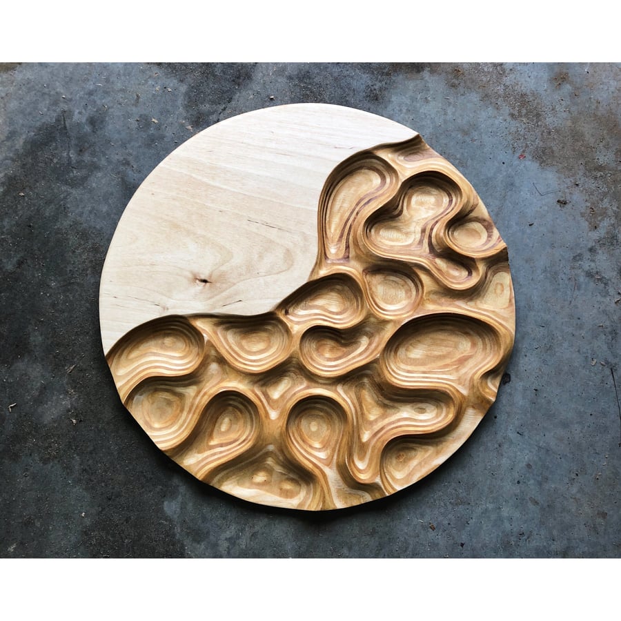 Image of Puddle Jumping. Ply Carving. 