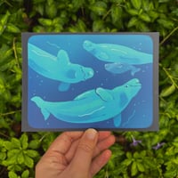 Beluga Whales Postcard Print