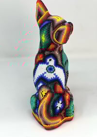 Image 5 of Chihuaha