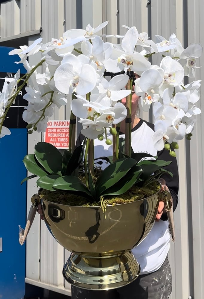 Image of 6 Orchids In a Gold Champagne Bowl