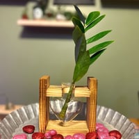 Image 1 of Heart Shaped Propagation Glass
