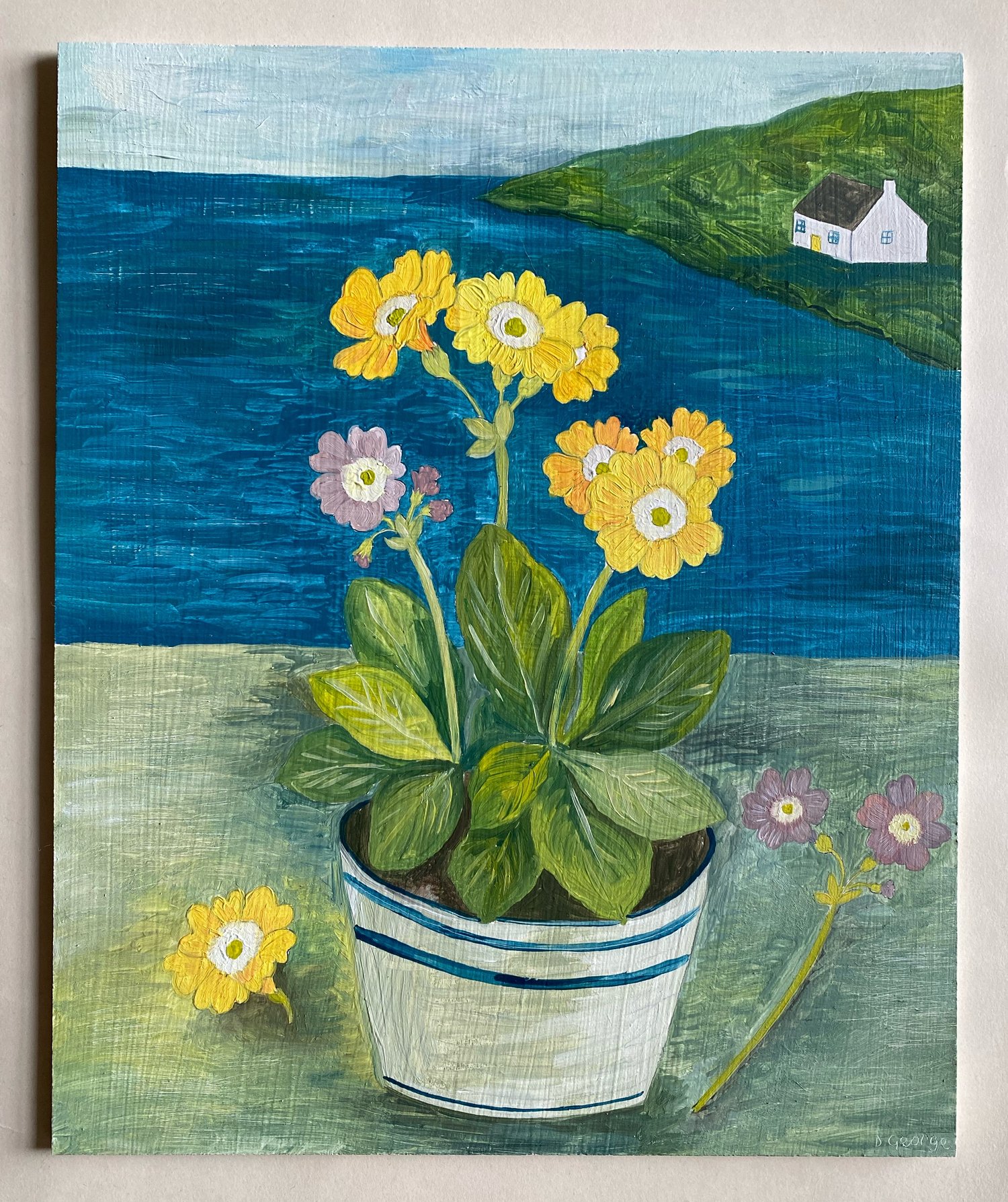 Image of Yellow Auricula by the sea