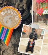 Image 7 of Pet Birthday badges