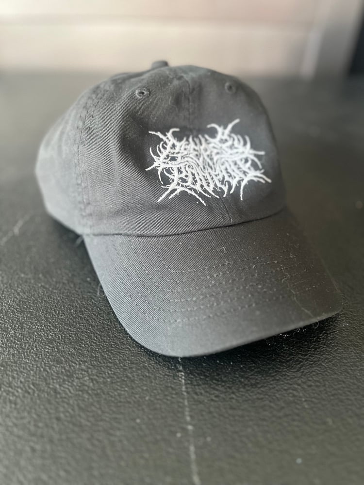 Image of Peepee Poopoo Dad Hat