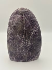 Image 1 of Lepidolite Freeform
