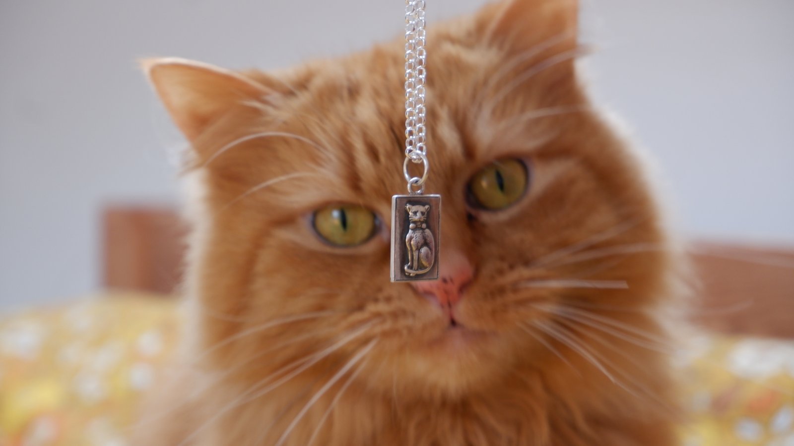 Custom cat outlet necklace