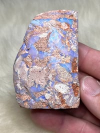 Image 1 of Boulder Opal #2409