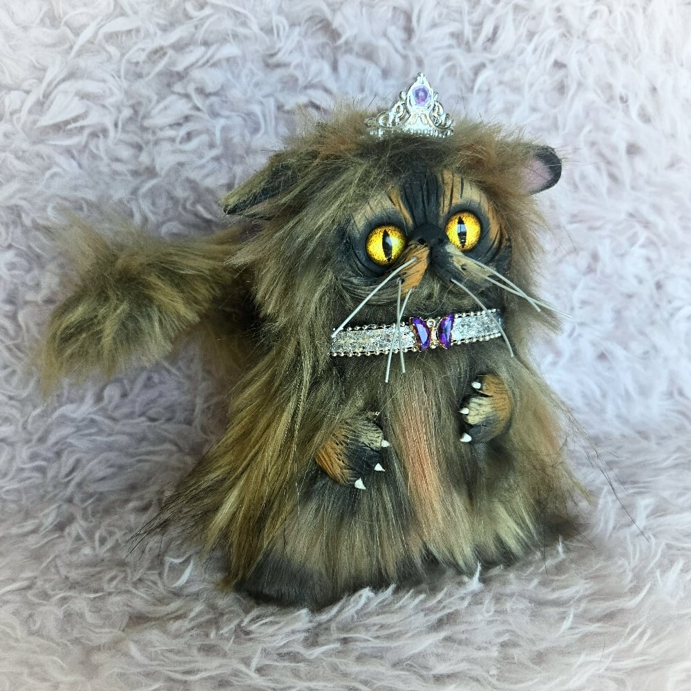 Image of Princess Donut The Queen Anne Chonk