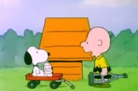 Image 5 of it’s ok Charlie Brown 100% leather Vest