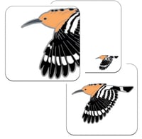 Image 3 of Hoopoe - No.134 - UK Birding Series