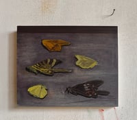 Image 1 of Still No. 1