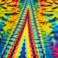 Image 4 of XL disco starfish