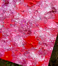 Image 2 of Valentine’s Day Petals 