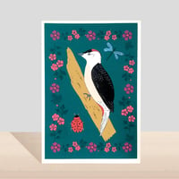 Woodpecker Flora and Fauna Card