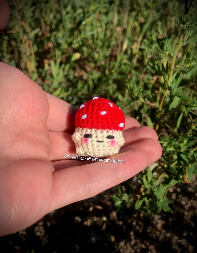 Image of Mystery Mini Mushie