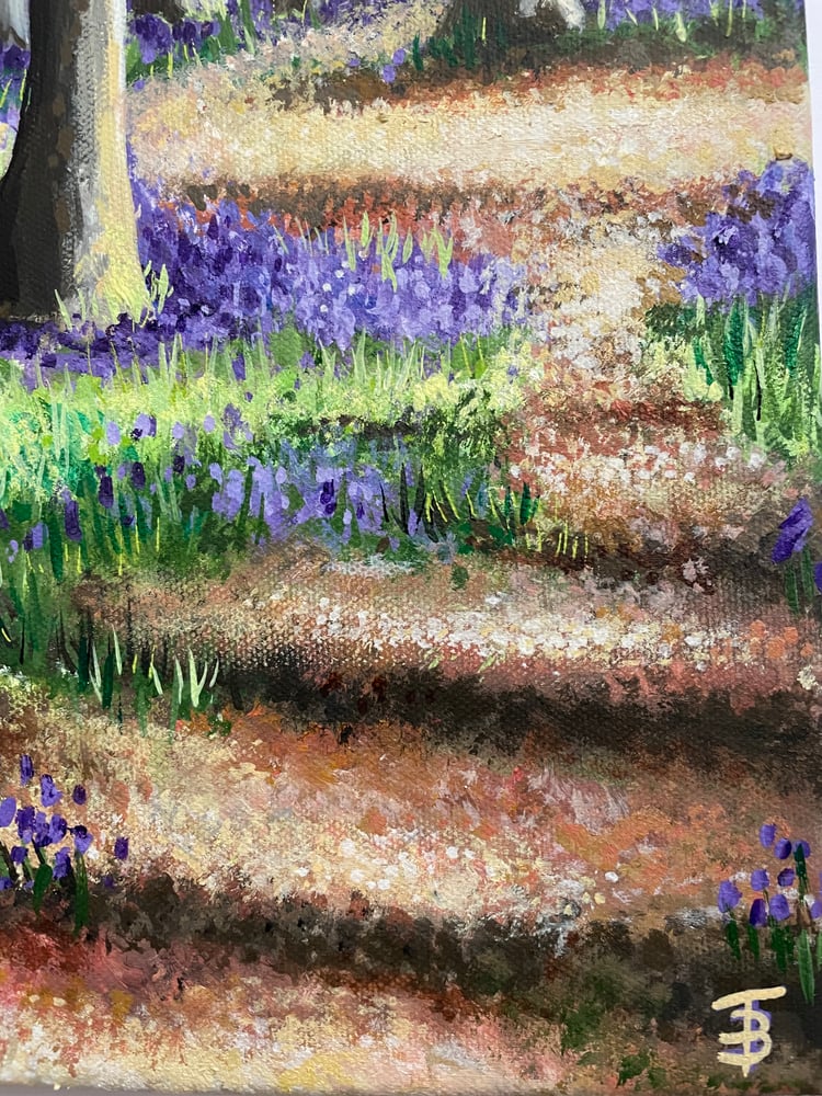 Image of Pathway through the Bluebell Woods