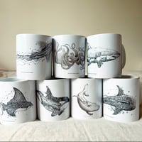 Image 6 of Mugs 