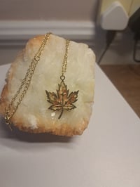 Image 4 of Autumn 🍂 