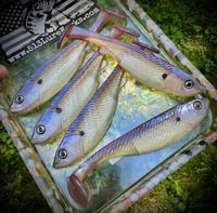 Image 3 of 4" G4 Hand Poured Swimbaits - "BLUEBACKS”