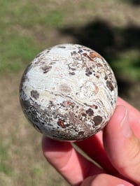 Image 8 of Money Agate Sphere #2834