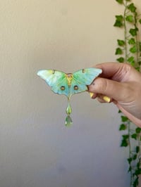 Image 2 of 💚Luna Moth💚 Hairclip 