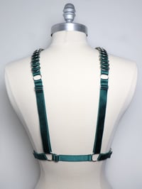 Image 4 of Satin elastic harness with D Rings 