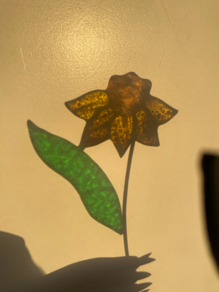 Image of Daffodil Plant Stakes