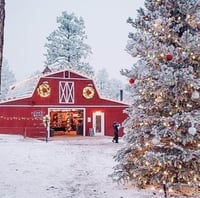 November 15 | Forest  Bend Holiday Minis  ($50 deposit only)