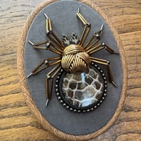 Image 1 of Snake skin spider (a, 4x5 inches)