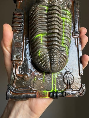 Leaky Trilobite 