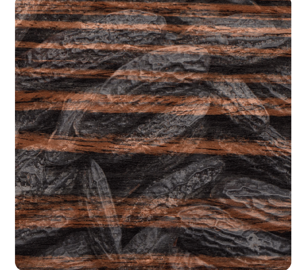 Image of ebony tonka