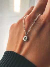 Image 2 of SHINE