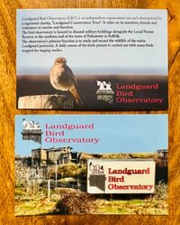 Image 1 of Landguard Bird Observatory Pin Badge