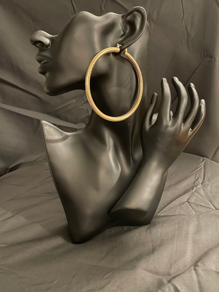 Image of Allure Hoops