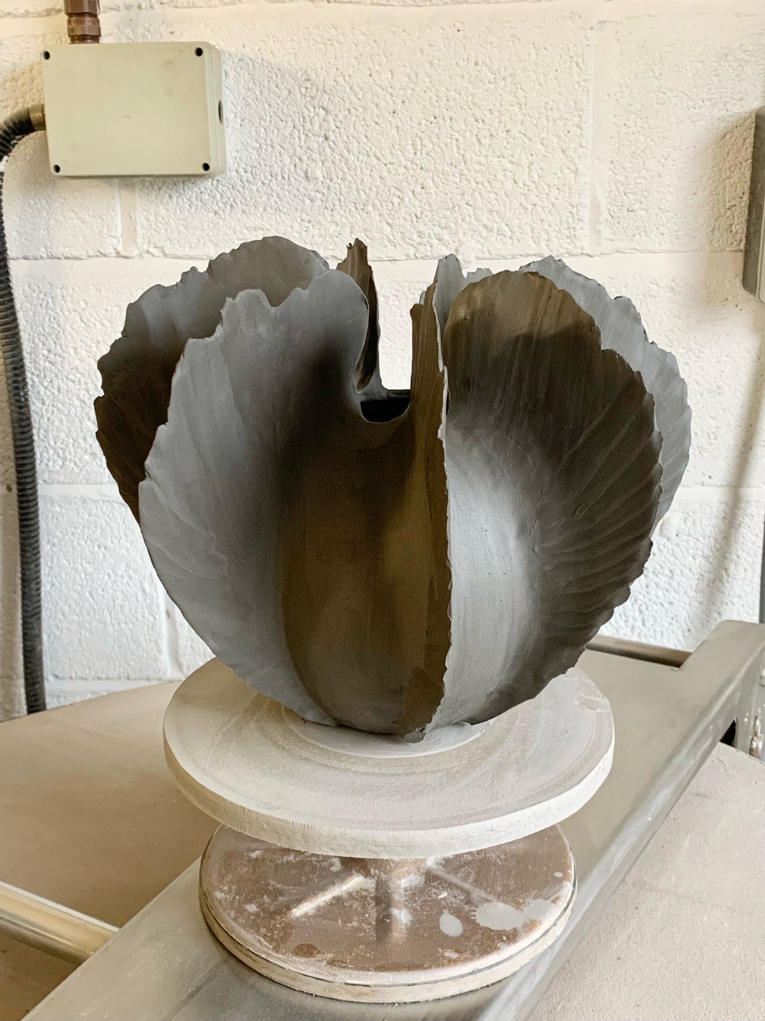 Image of Seaflower 2