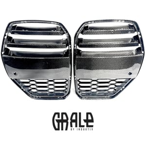 Image of Grale G8X Carbon Fiber Grill by Induktiv