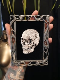 Small Skull Study