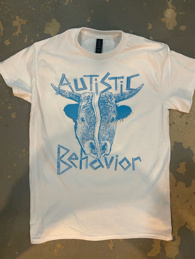 Image of Autistic Behavior 