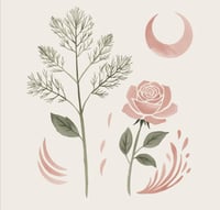 Image 1 of Wild Remedies Series-AUGUST- Nourishing Summer’s End