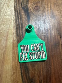 YOU CAN'T FIX STUPID