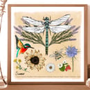 Image 2 of Season prints