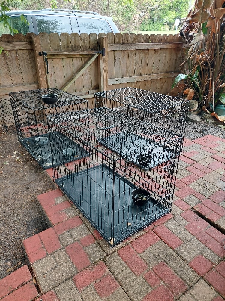 Image of Metal Cages (2door)