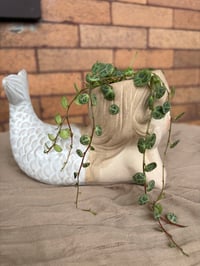 Image 2 of String of Turtles in Lounging Mermaid