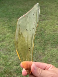 Image 6 of Copal Amber With Preserved Insects #2357