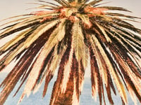 Image 1 of Joseph Gibson - Palm